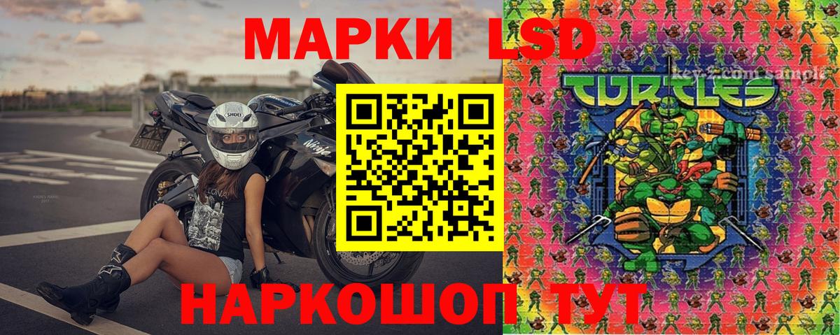 Наркотические марки 1500мкг  Наркотические марки 1500мкг  Наркотические марки  Вход с VPN  Волхов 