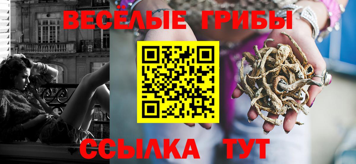 Псилоцибиновые грибы Cubensis Волхов